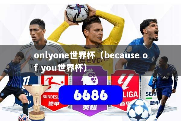 onlyone世界杯（because of you世界杯）