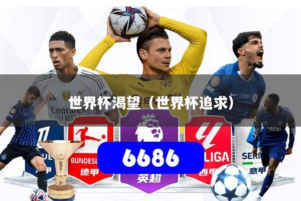 世界杯渴望（世界杯追求）